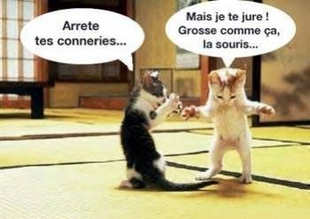 Dialogue